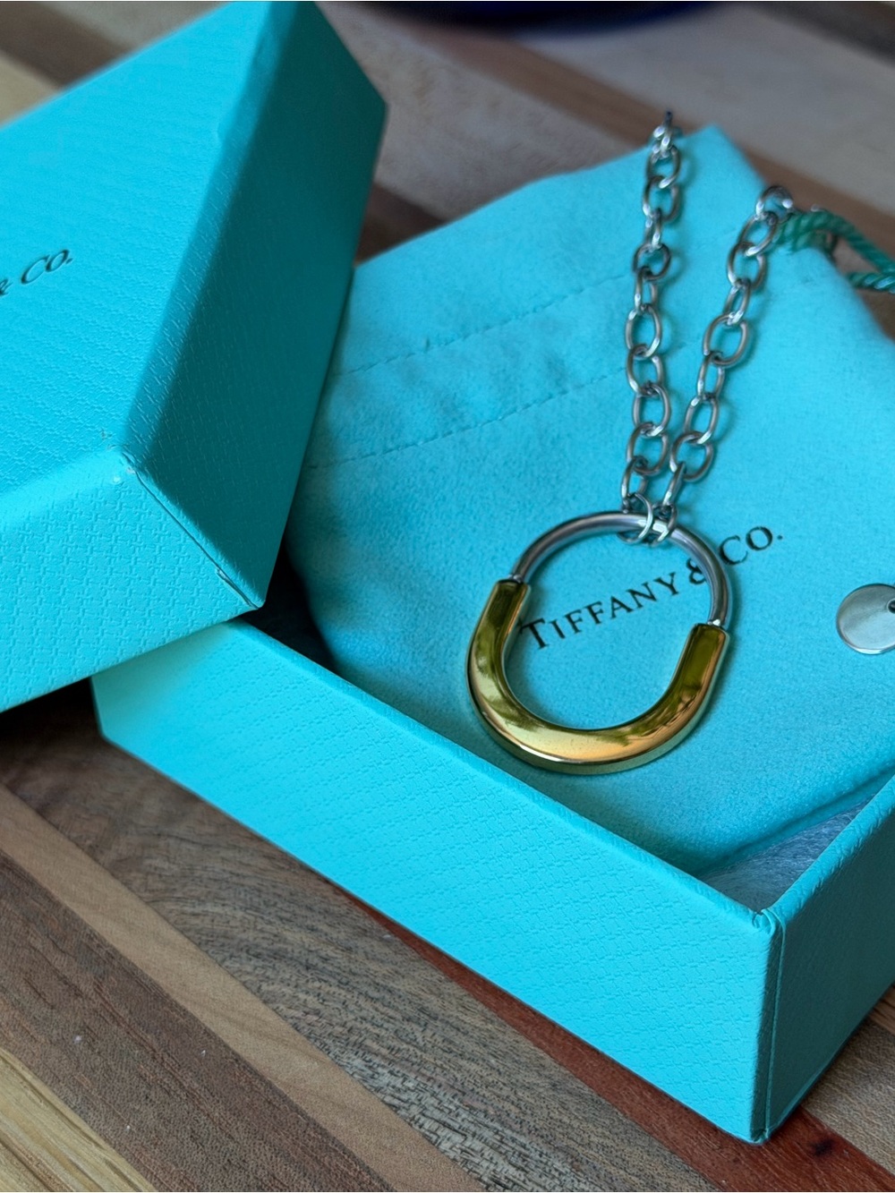 Tiffany & Co. Two-Tone Horseshoe Necklace - Gold & Silver